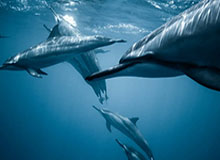 kaiyun.com云端赋能：让商业跃迁的选择